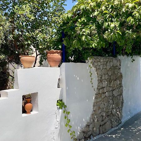 Iris Studios Archangelos  Exterior photo