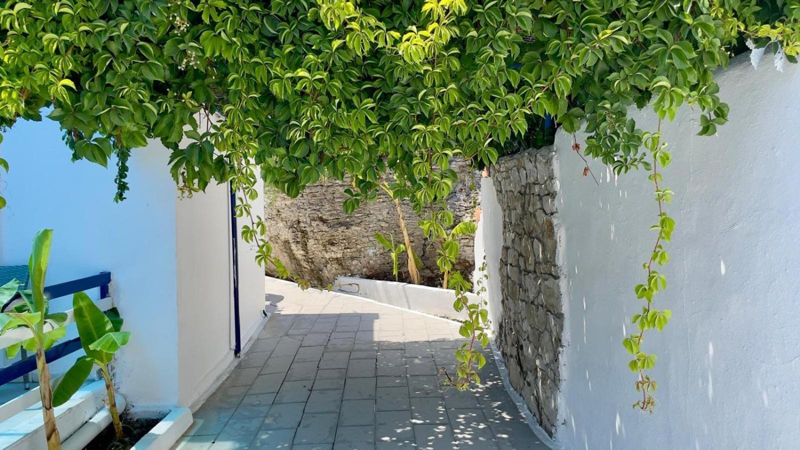 Iris Studios Archangelos  Exterior photo