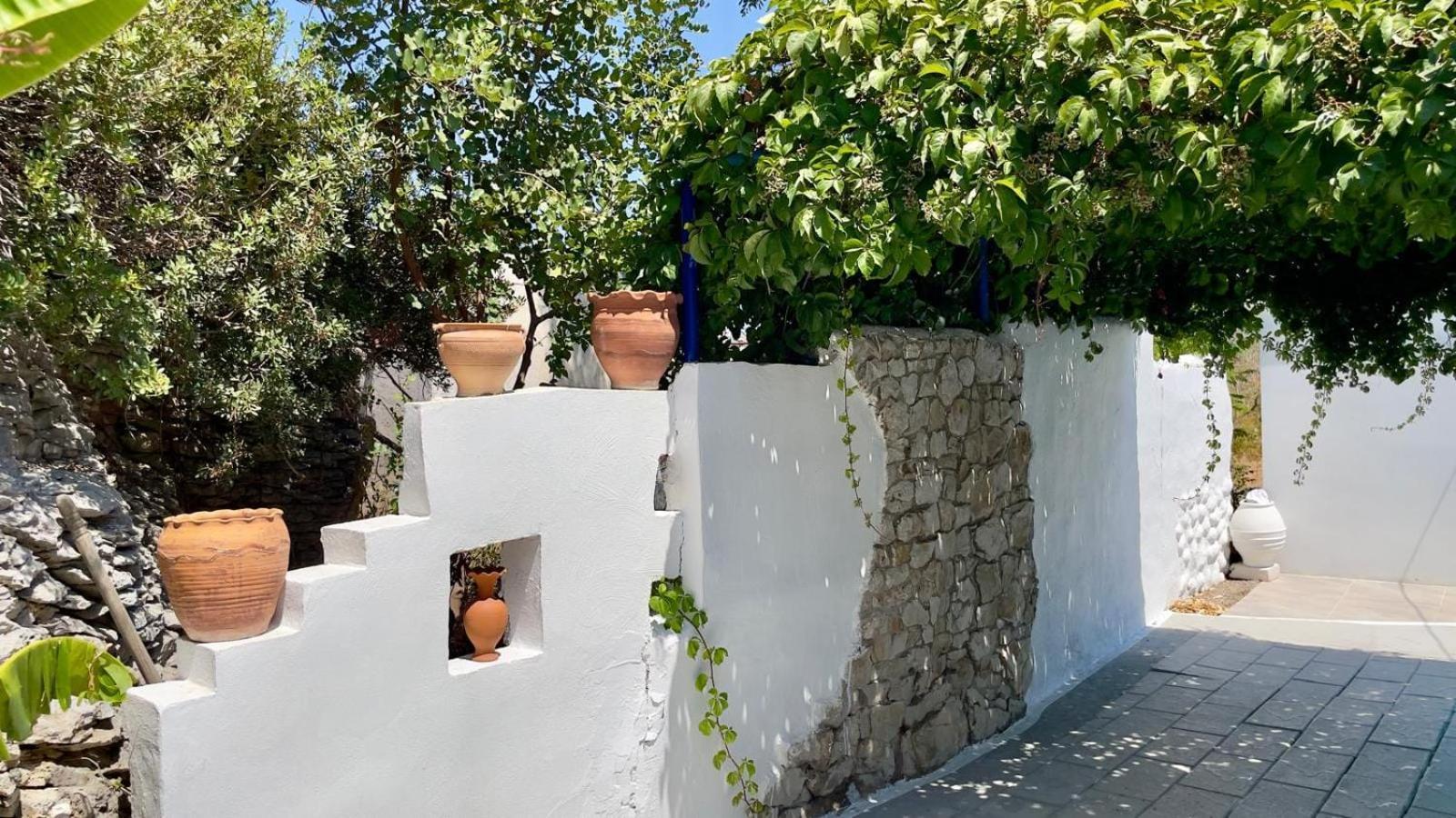 Iris Studios Archangelos  Exterior photo